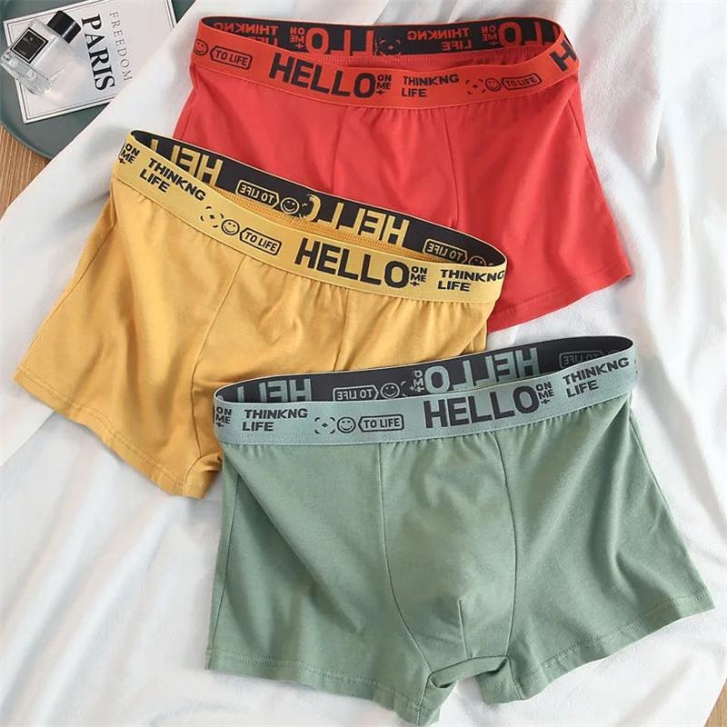 10Pieces/ Men's Underwear Men  - مراجعة Boxer Brief Pack Cotton وسعره