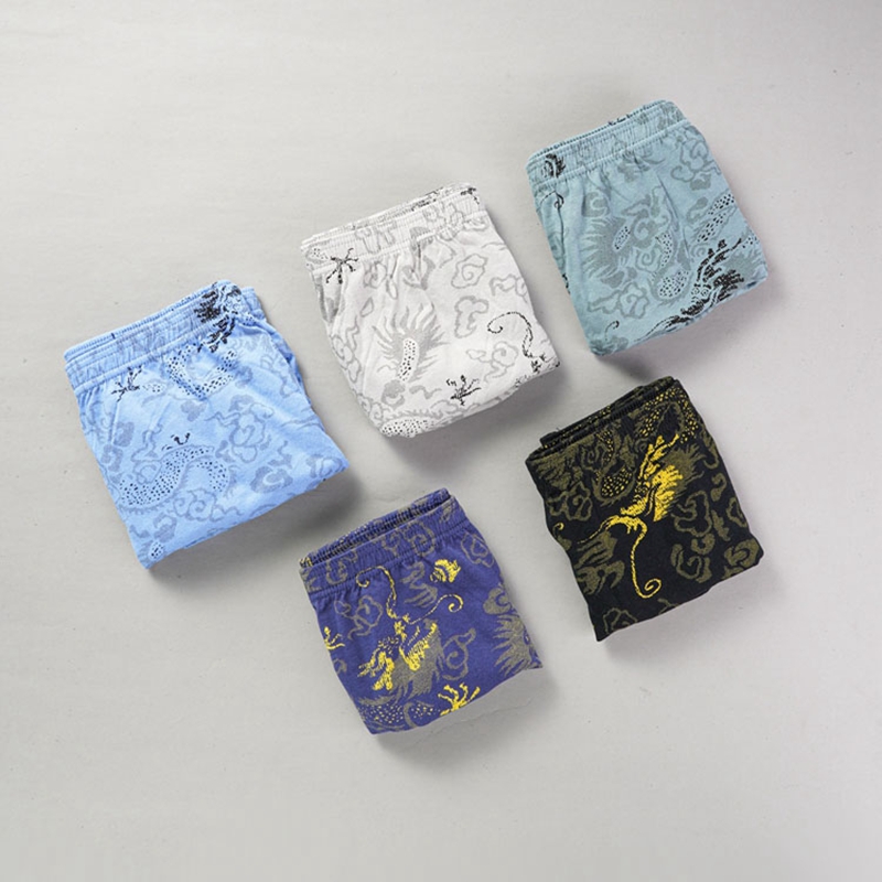 10 Pcs/Lot 100% Cotton Men's P - مراجعة Multi Pack Underwear وسعره