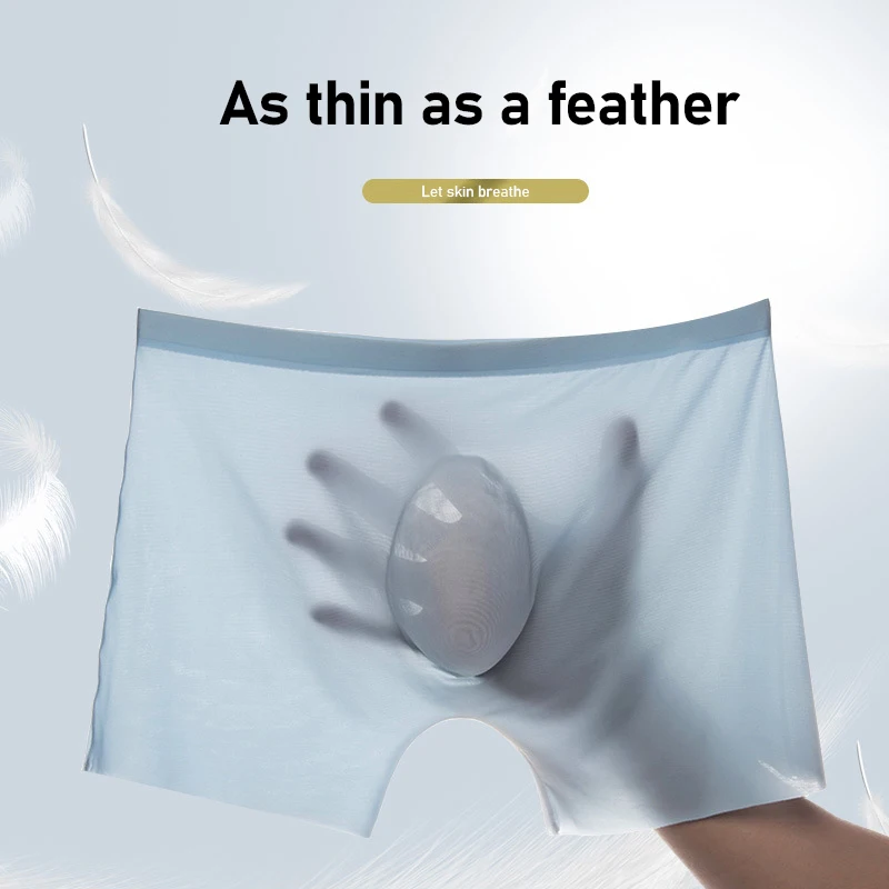 10 Pcs/Lot Men's Summer Ice Si - مراجعة Boxer Shorts Modal وسعره