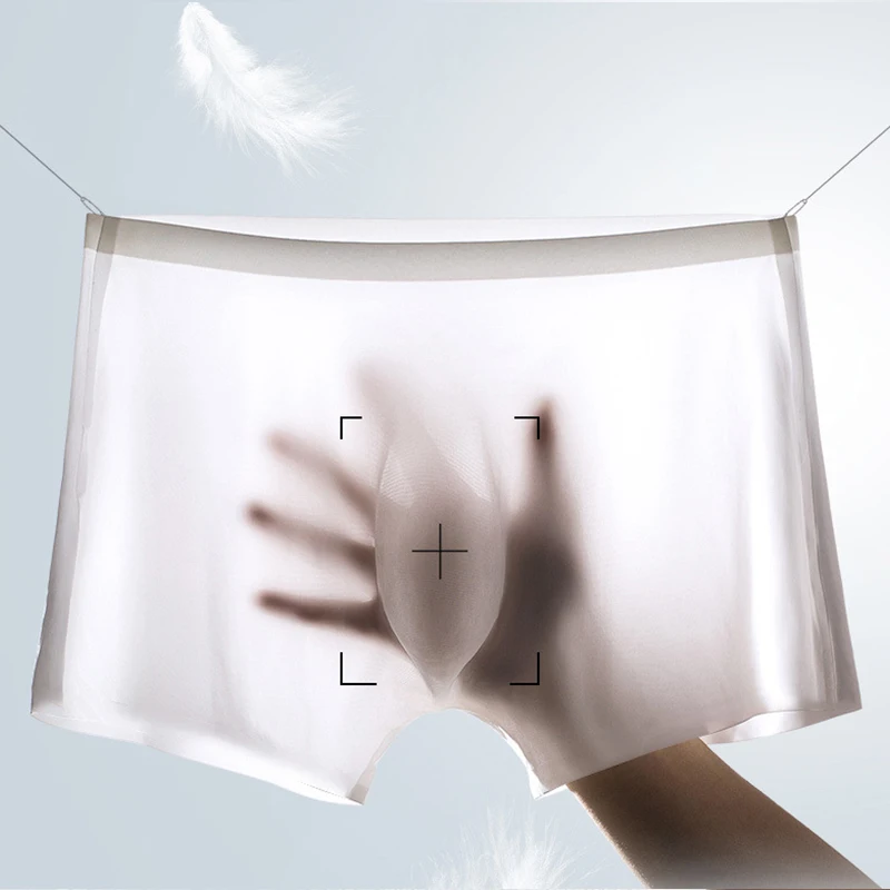 10 Pcs/Lot Men's Summer Ice Si - مراجعة Boxer Shorts Modal وسعره