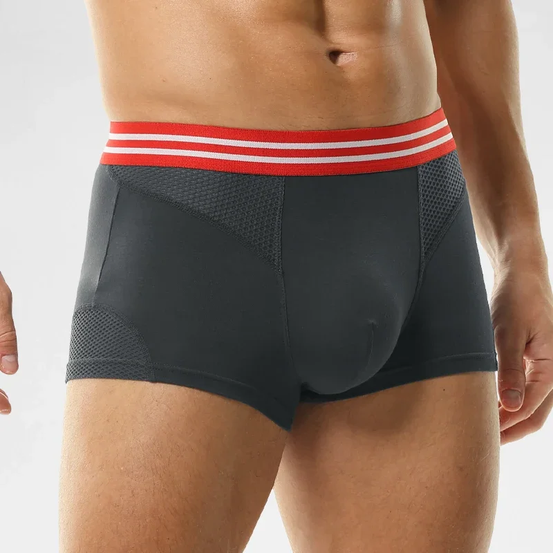 Underwear Men's boxers Modal m - مراجعة Mesh Sport Boxer وسعره