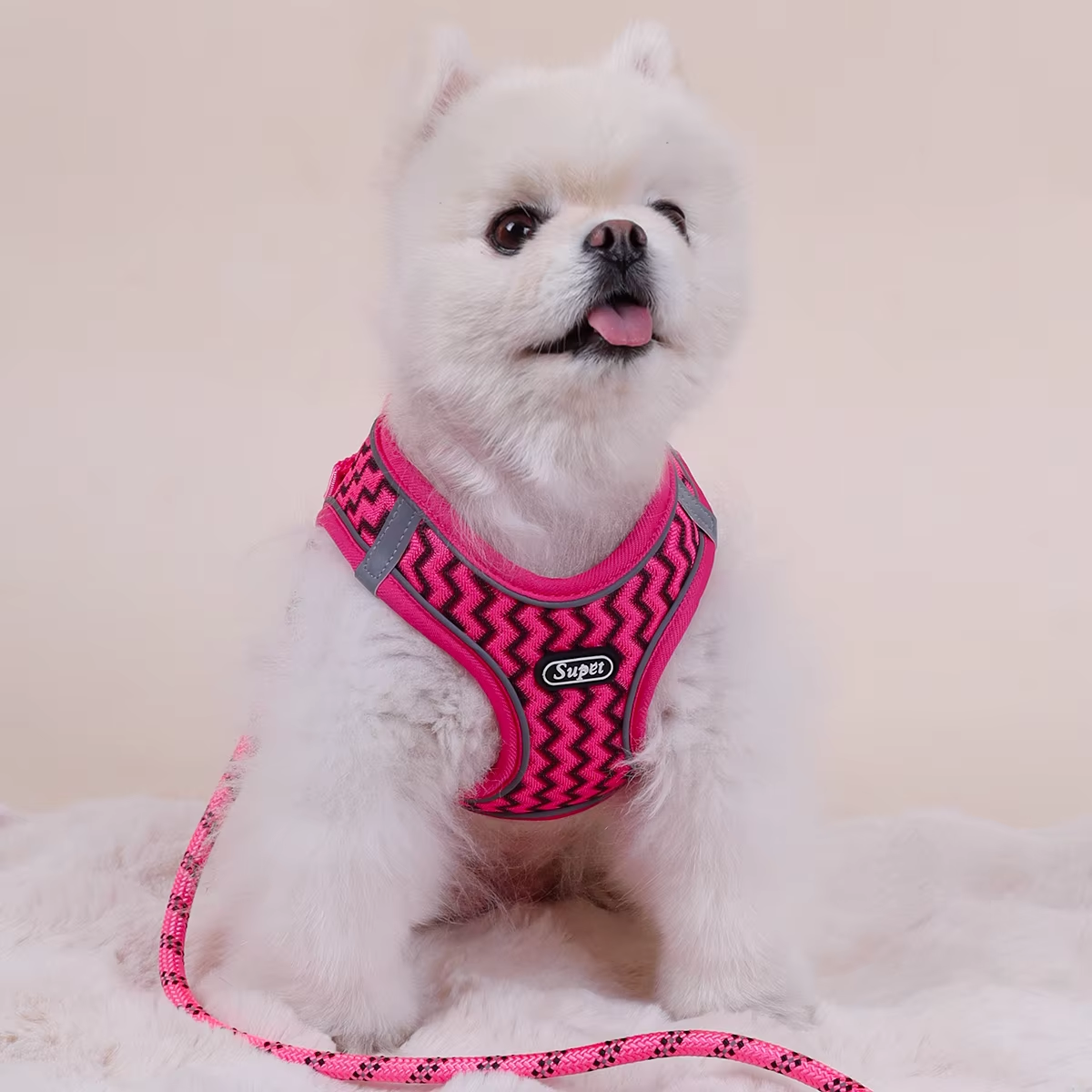 Supet Pet Cat and Dog Chest St - مراجعة Suspender Tank Top وسعره