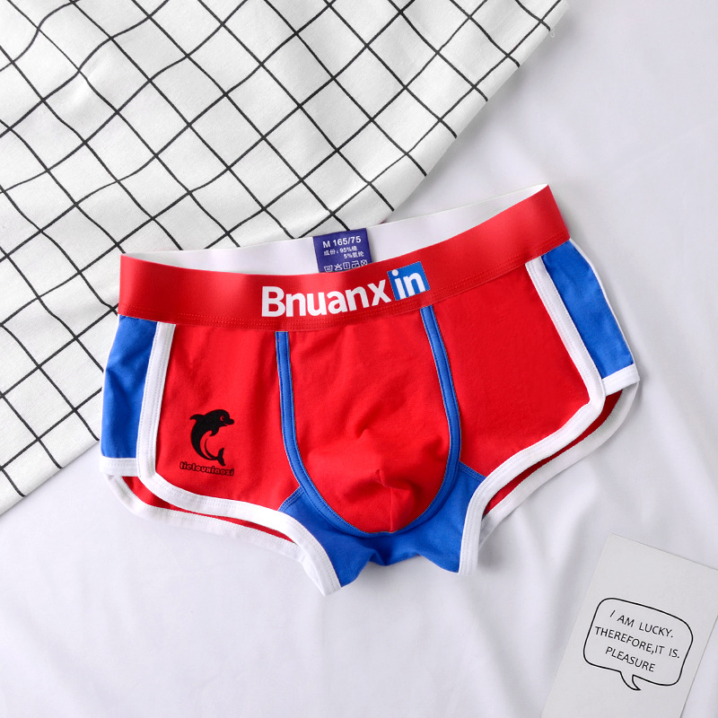 Man Underwear Fashion Youth Co - مراجعة Boxer Brief Pack Cotton وسعره