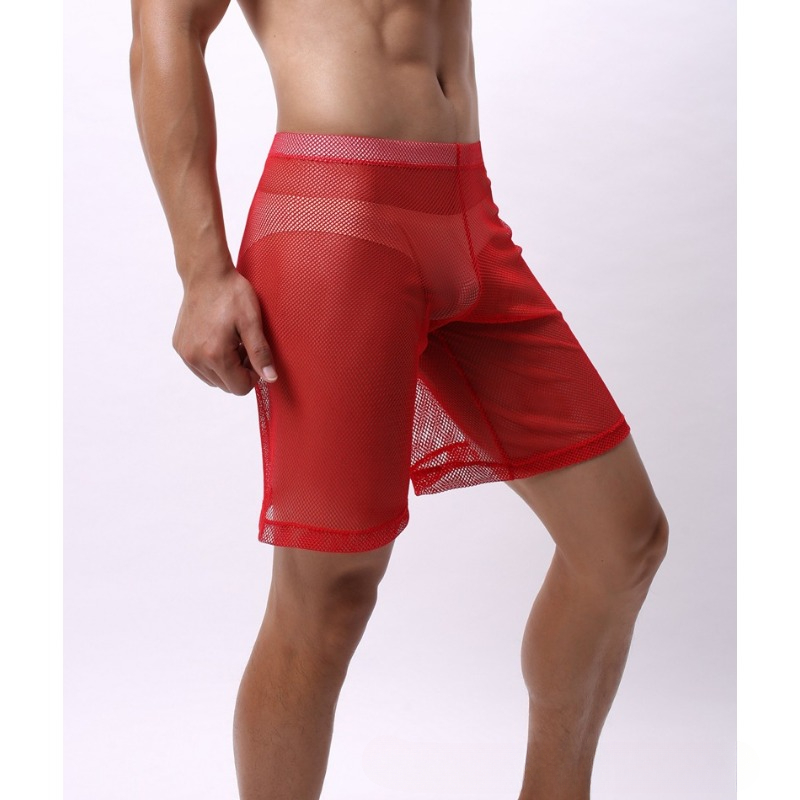 Low Rise Mesh Erotic Underwear - مراجعة Pouch Boxer Pouch وسعره