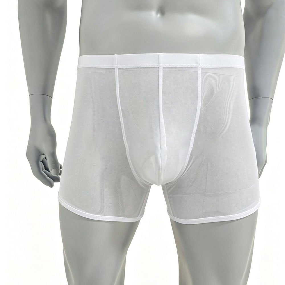 Men Mesh See-through Ultra-thi - مراجعة Long Leg Trunk Men وسعره