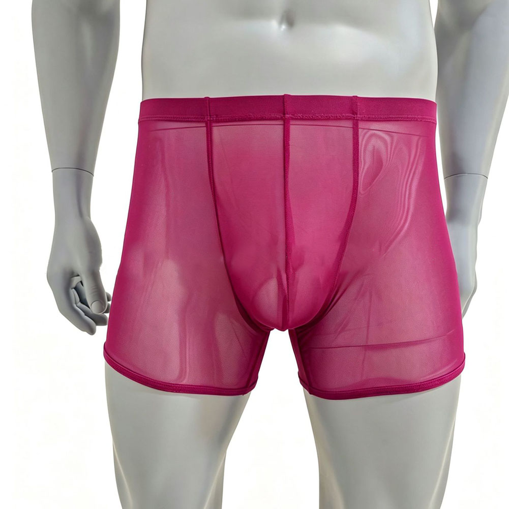 Men Mesh See-through Ultra-thi - مراجعة Long Leg Trunk Men وسعره