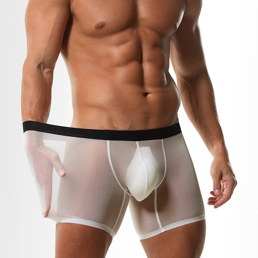 Mens Long Leg Boxer Shorts Ice - مراجعة Long Leg Trunk Men وسعره